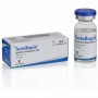 Testo Rapid 10ml 100mg/ml